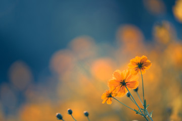 成都大运会时间(成都大运会时间2023具体时间)