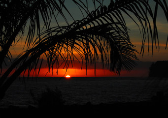 成都确诊(成都确诊女孩央视报道)