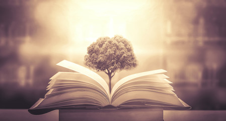 郑州单双号/郑州单双号限行政策