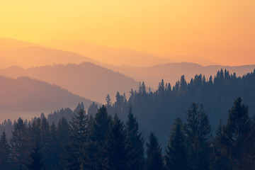 河南大学假期安排/河南大学寒假放假