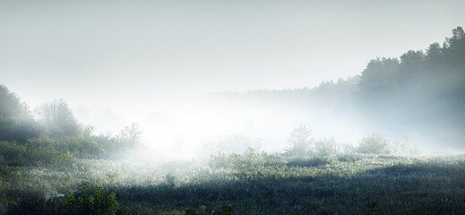 包含上海新增10例本土确诊病例的词条