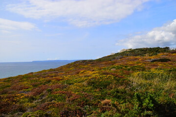 黑暗之女技能改动(黑暗之女带什么召唤师技能)