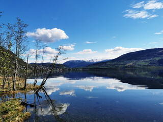 雪铁龙升项房车价位(雪铁龙四驱升顶房车国产了吗)