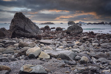 包含上海新增10例本土确诊病例的词条