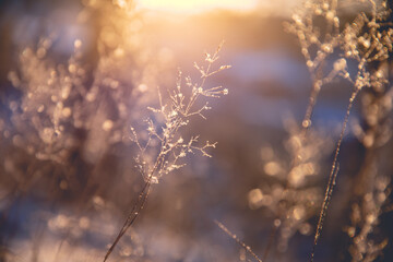 雪铁龙升项房车价位(雪铁龙四驱升顶房车国产了吗)