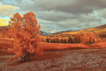 成都大运会时间(成都大运会时间2023具体时间)