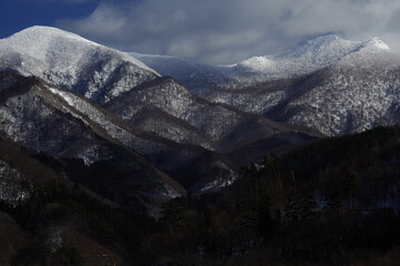 成都确诊(成都确诊女孩央视报道)