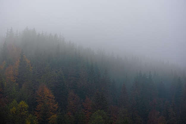 石家庄疾控发布最新提醒/石家庄最新防控