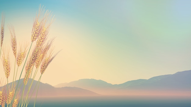 希望疫情早日结束的说说(希望疫情早日结束的文案)