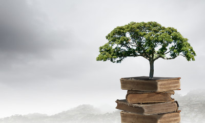 2021年银川封城公告/银川疫情封城