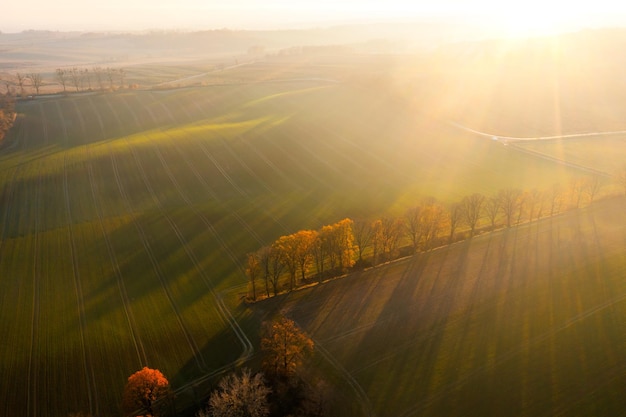 丰田suv所有车型/丰田新款suv车型