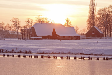郑州单双号/郑州单双号限行政策