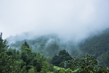 2021年银川封城公告/银川疫情封城